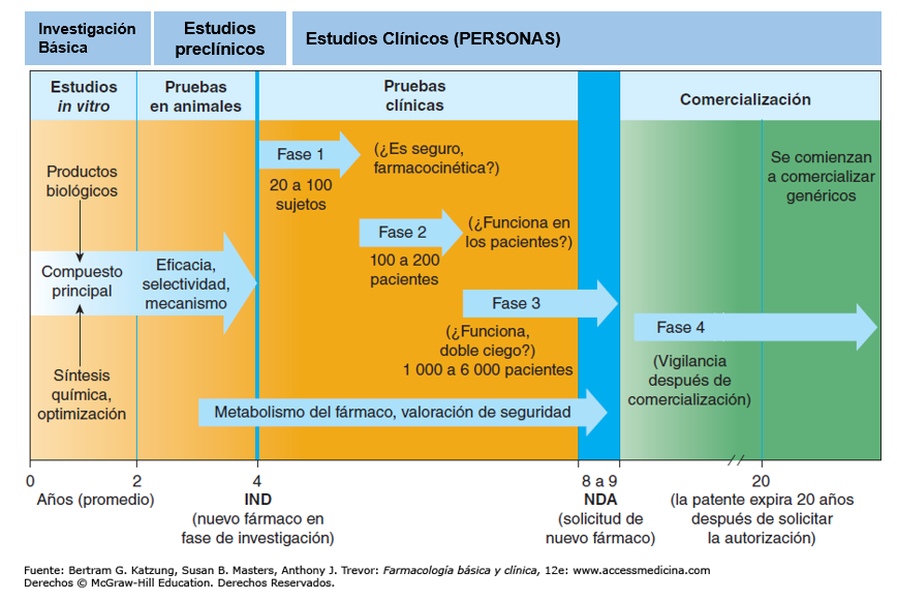 fases investigación