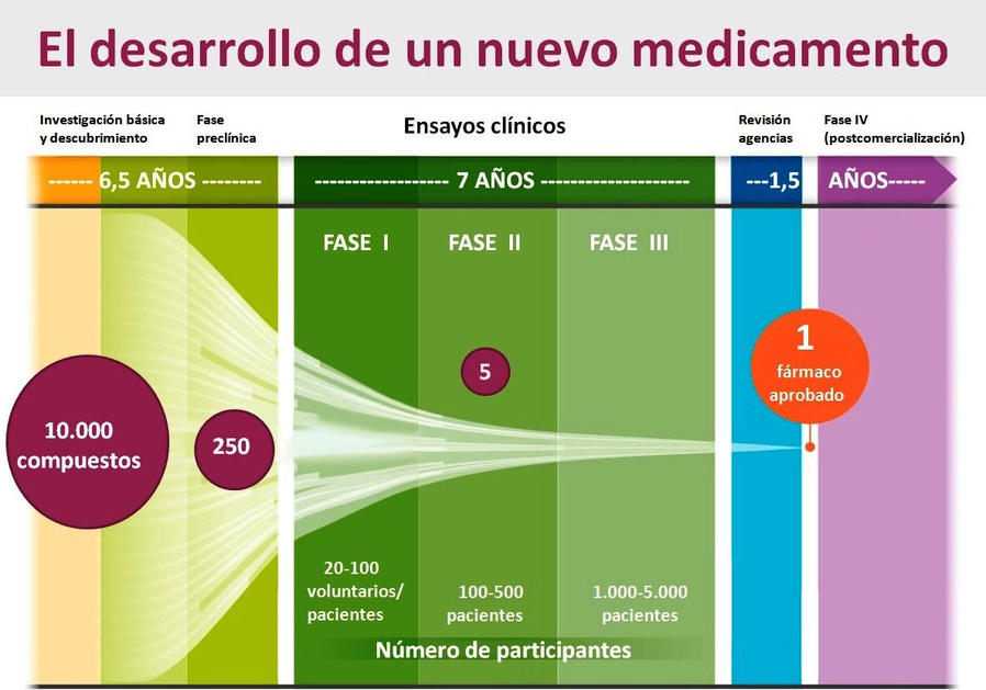 fases medicamento