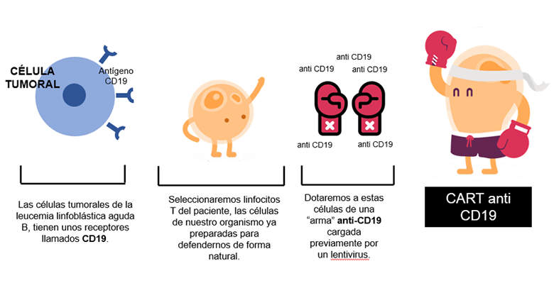 inmunoterapia CART 2