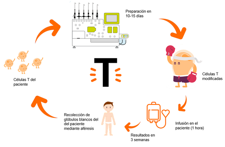 inmunoterapia CART 3