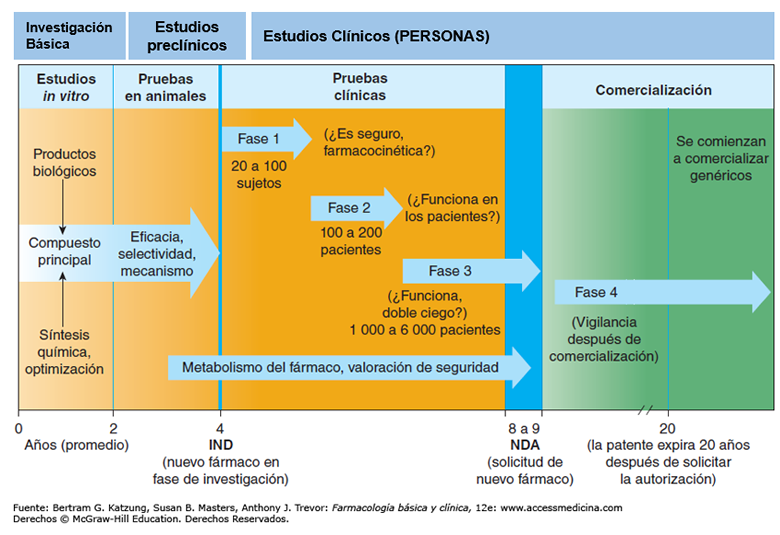 fases ensayo clínico