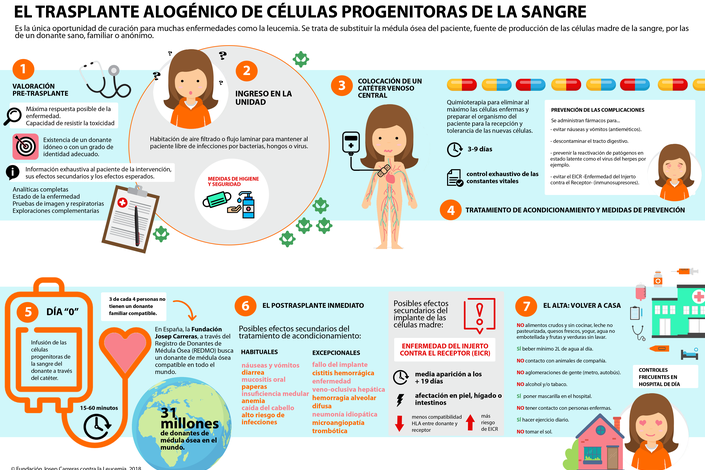 infografia trasplante de médula ósea